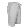 IFW Fleece Shorts